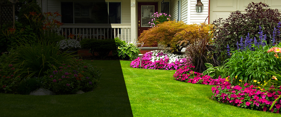 Seale Landscapers