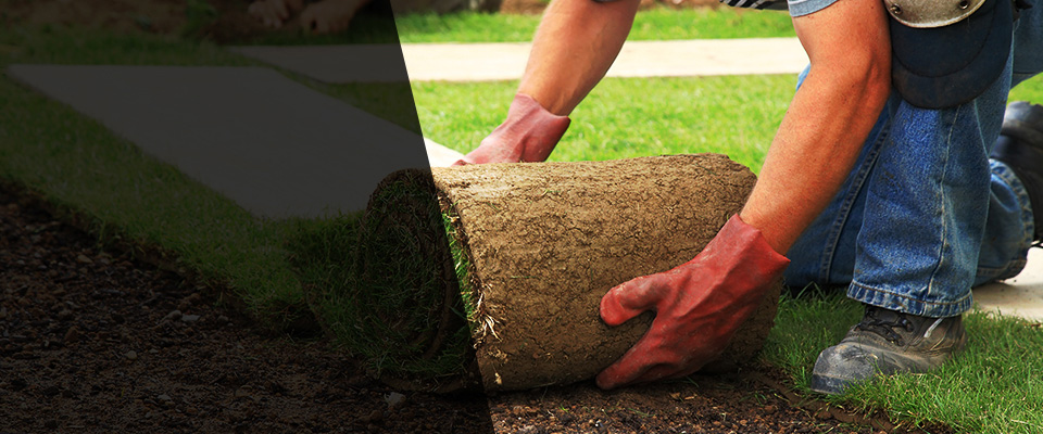 Seale Landscapers